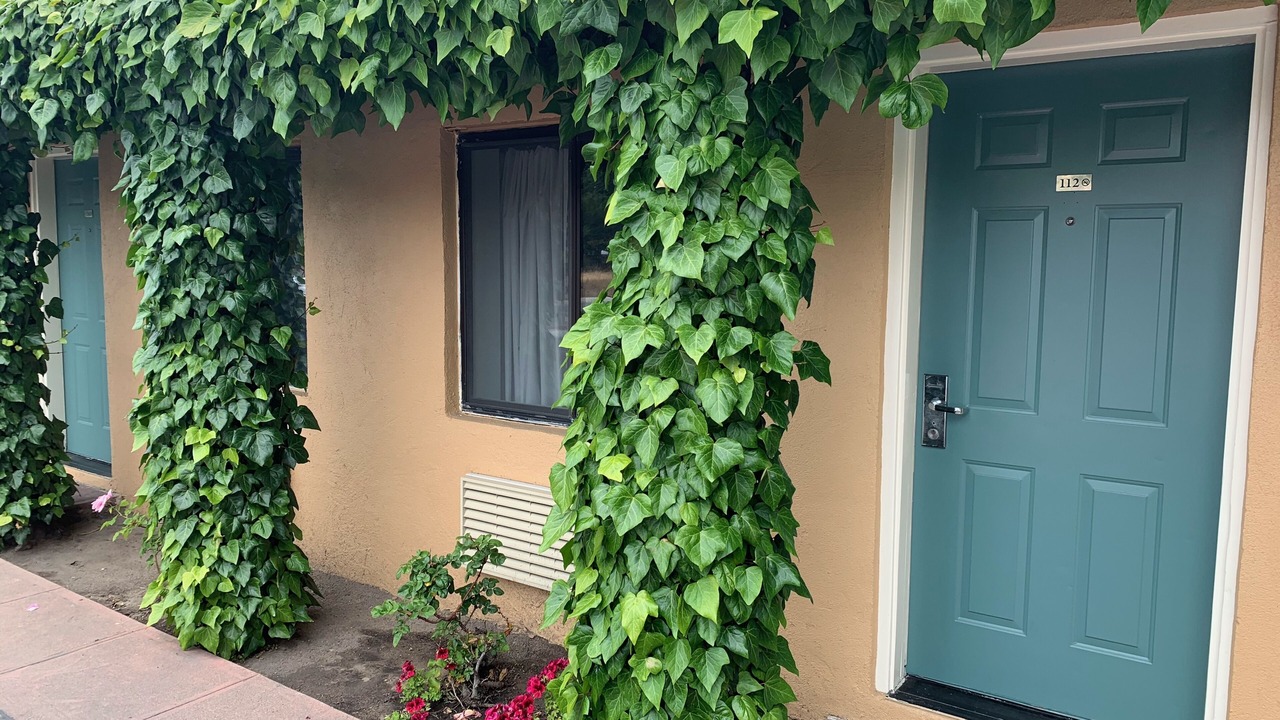 Photo of Outdoor in Monterey