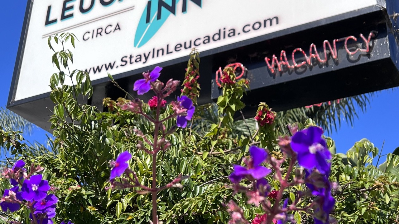 Photo of Outdoor in Leucadia