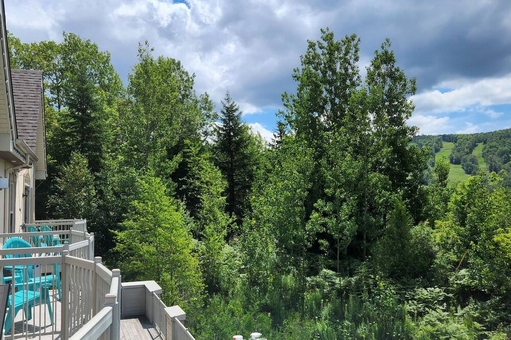 Photo of Patio Balcony in Piedmont