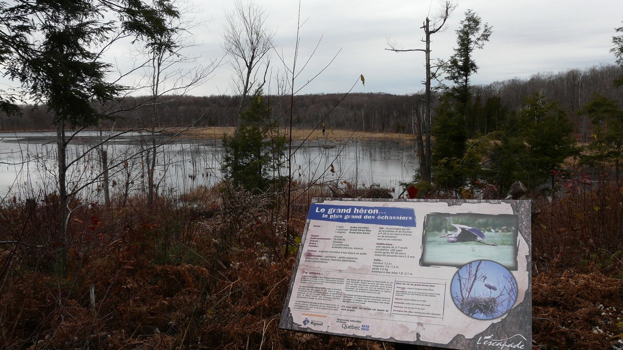 Photo of Outdoor in Sainte-Marthe