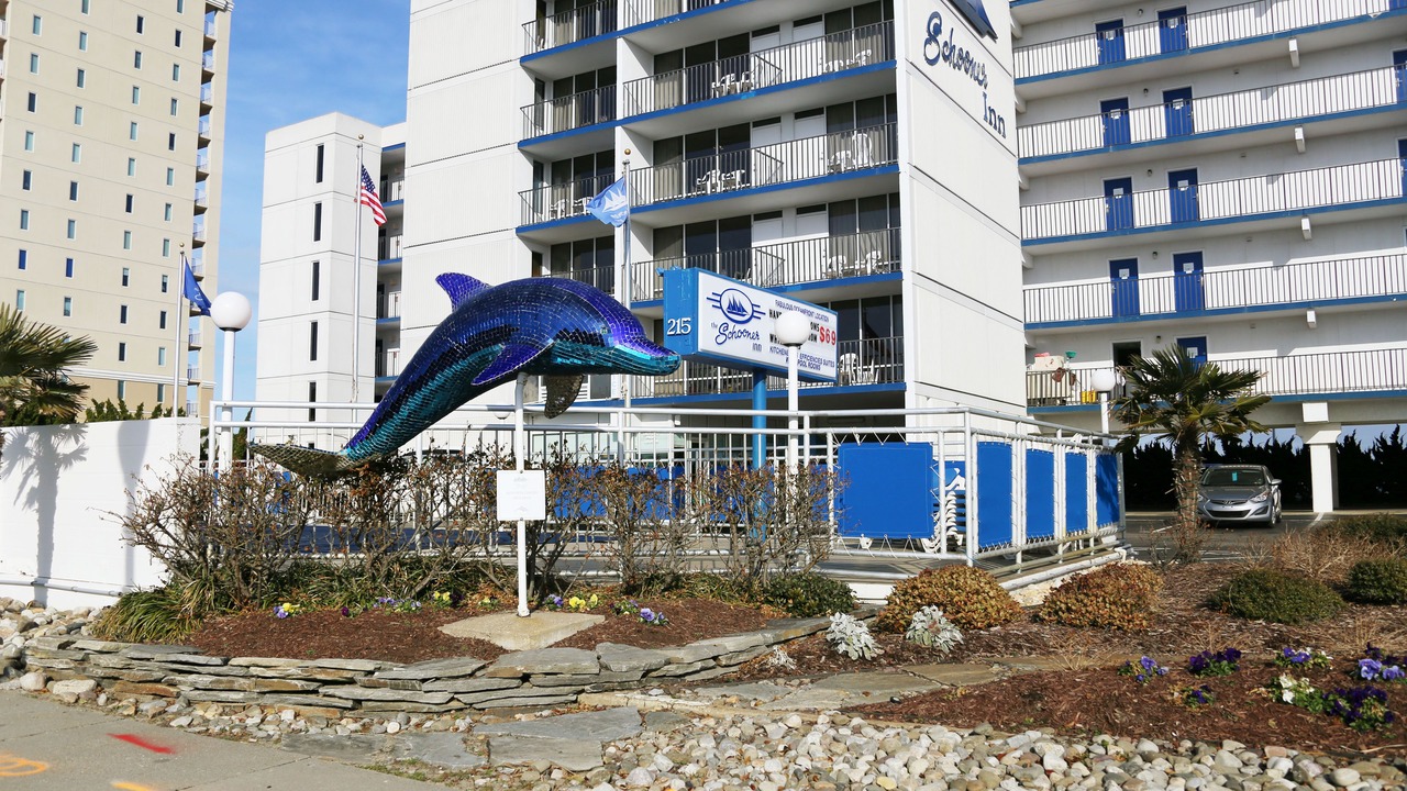 Photo of Outdoor in Northeast Virginia Beach