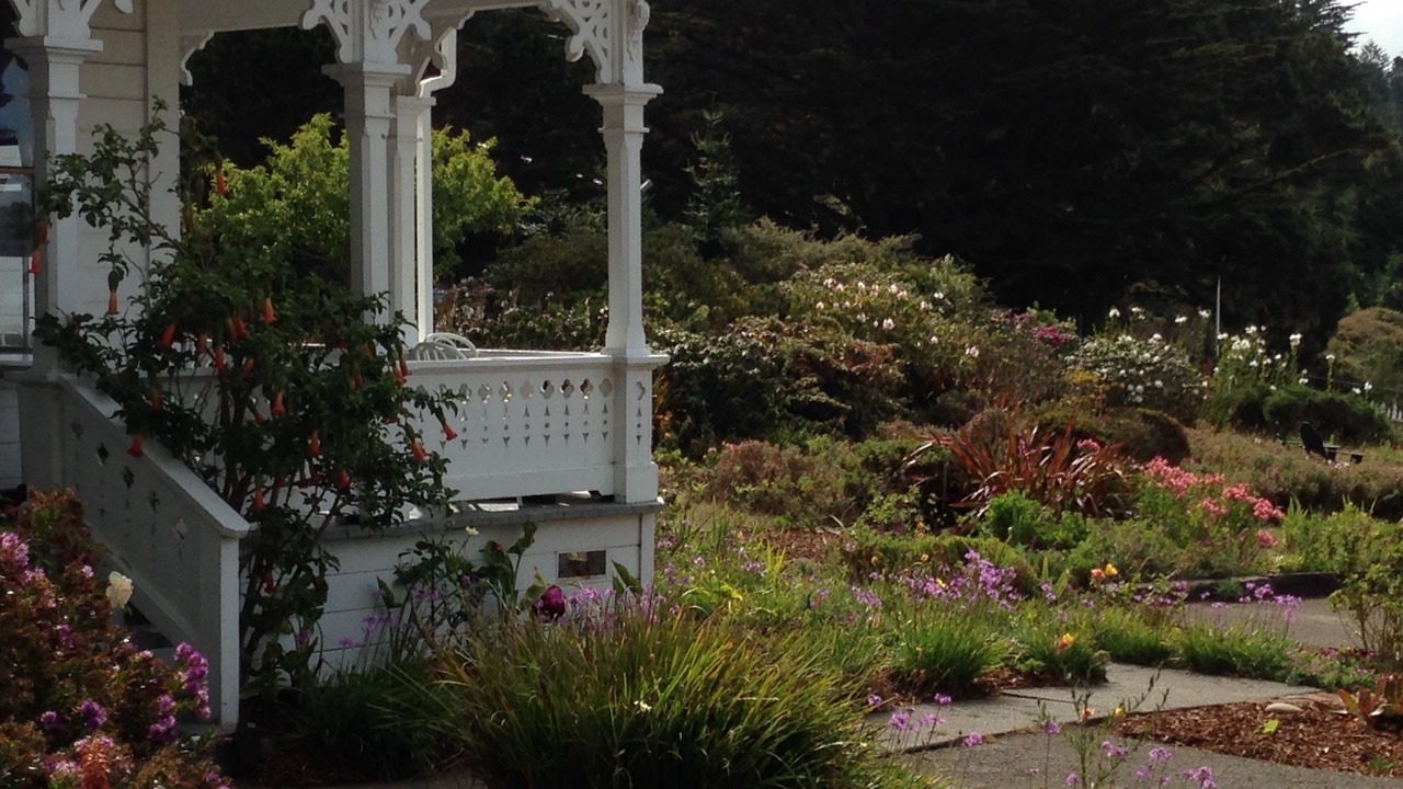 Photo of Outdoor in Mendocino