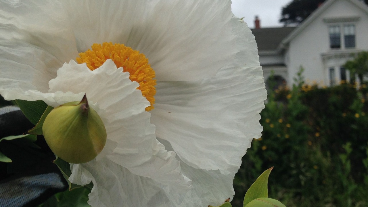 Photo of Outdoor in Mendocino
