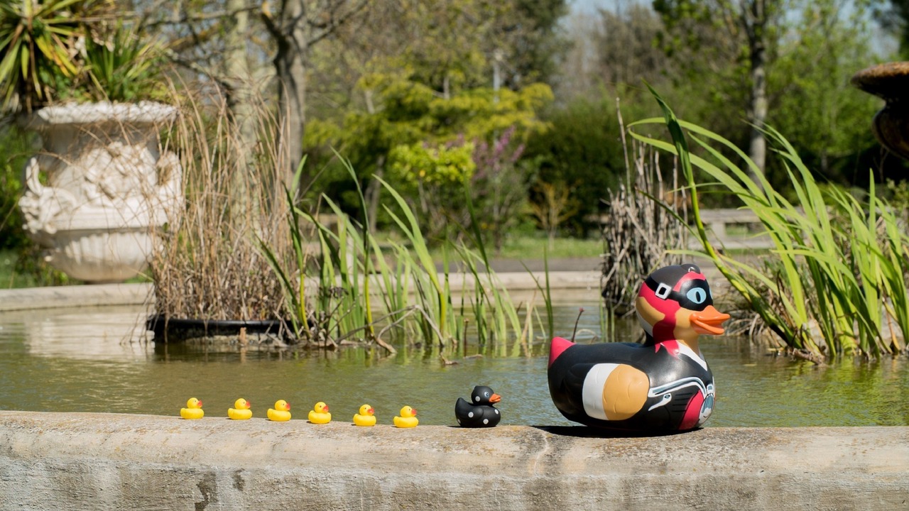 Photo of Outdoor in Colomiers
