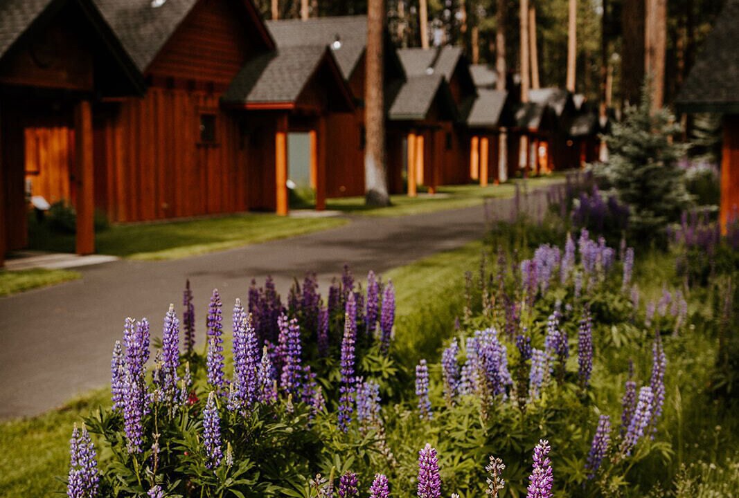 Photo of Outdoor in Sisters