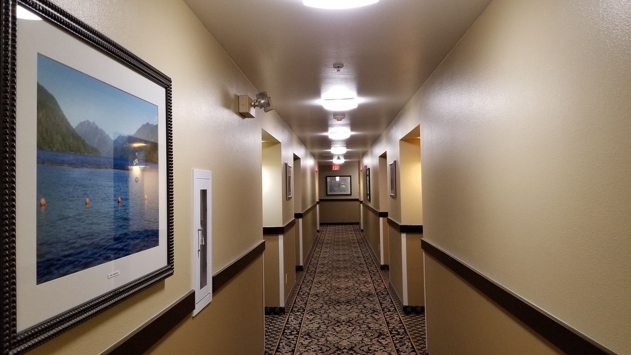 Photo of Others in Forks