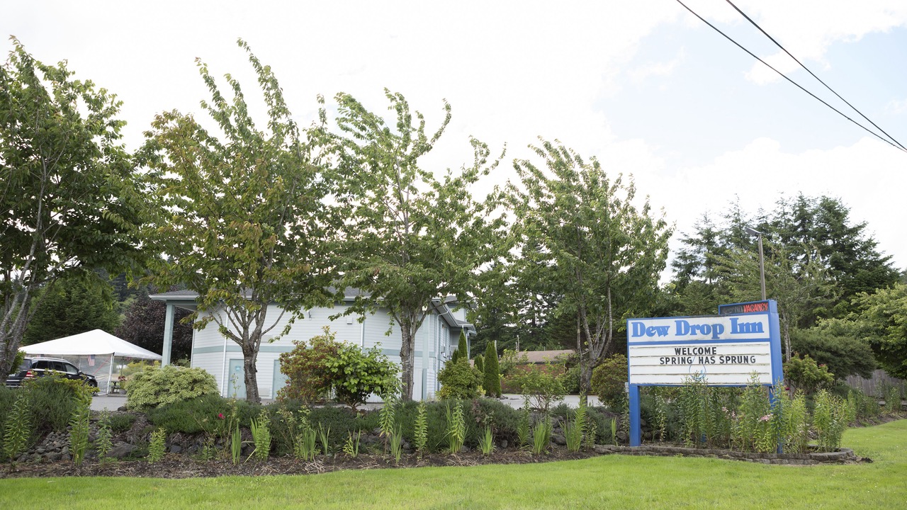 Photo of Outdoor in Forks