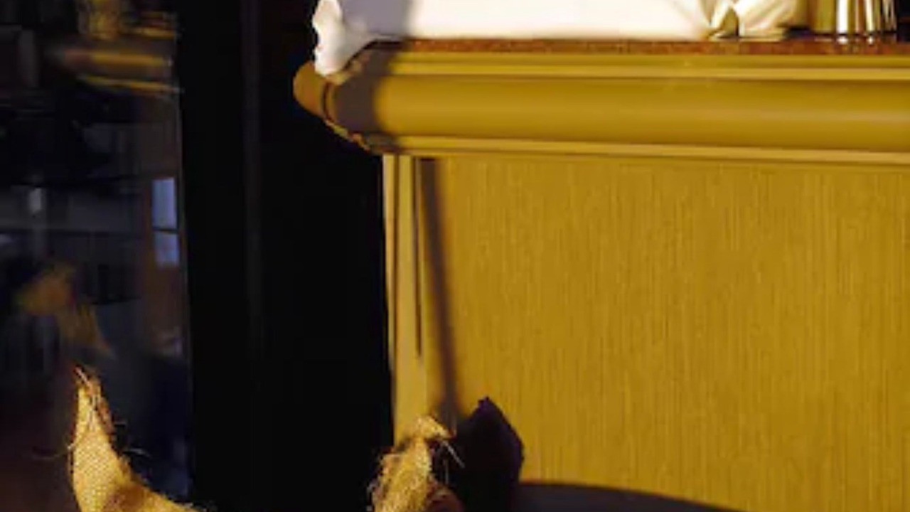 Photo of Others in Piana