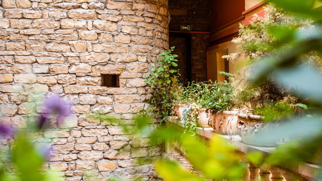 Photo of Others in Brotteaux