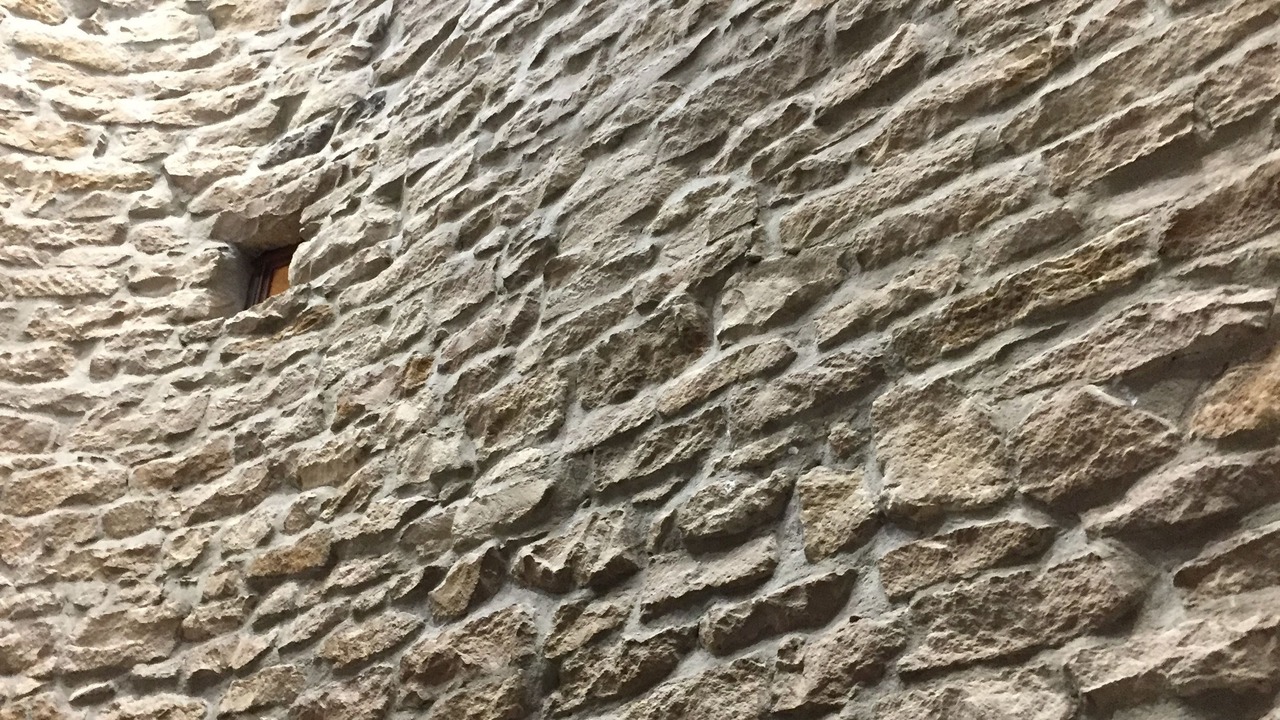 Photo of Outdoor in Brotteaux