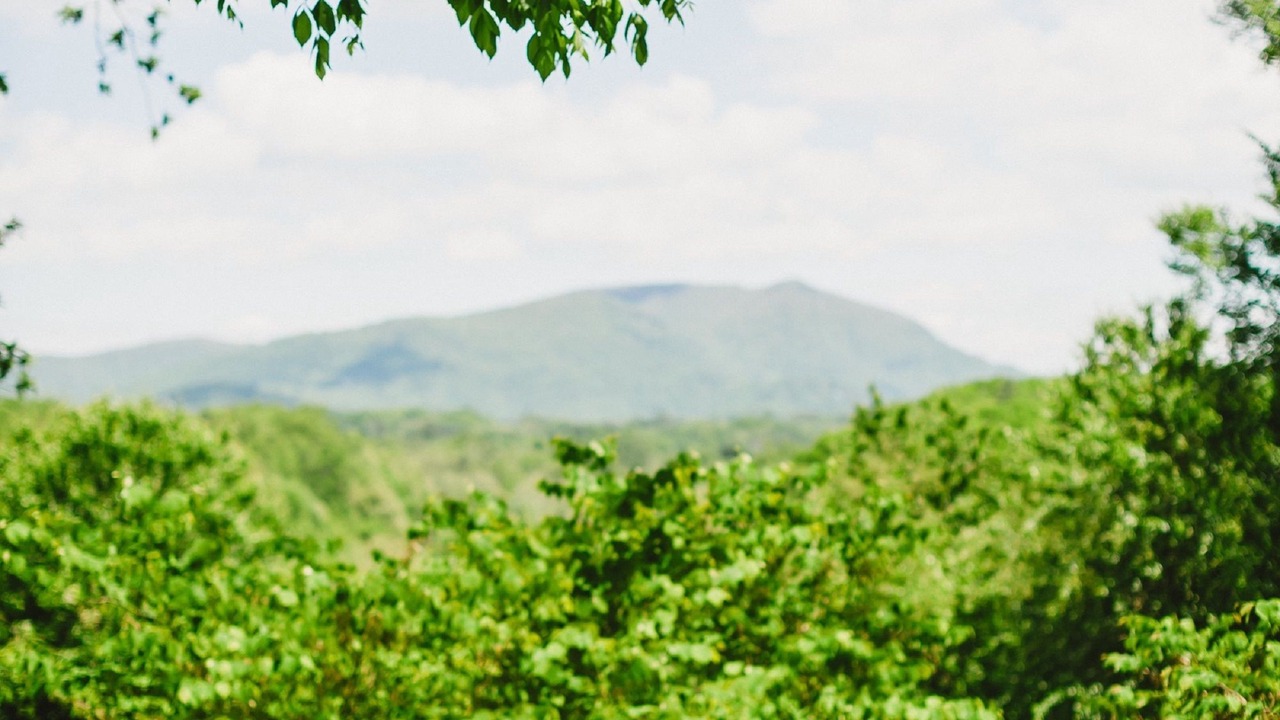 Photo of Others in Asheville