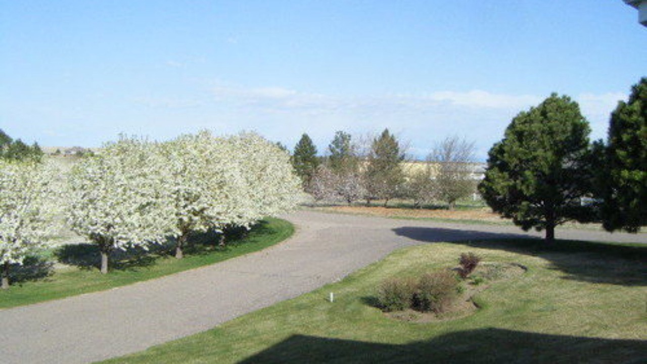 Photo of Outdoor in Stratton