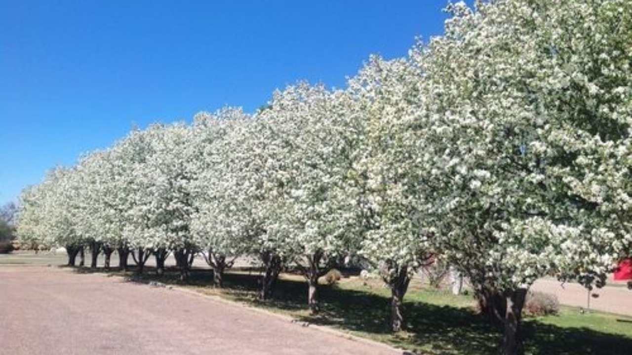 Photo of Outdoor in Stratton