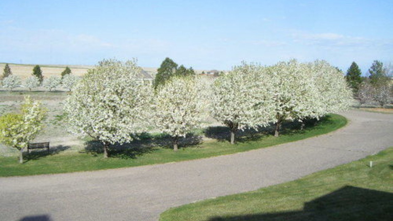 Photo of Outdoor in Stratton