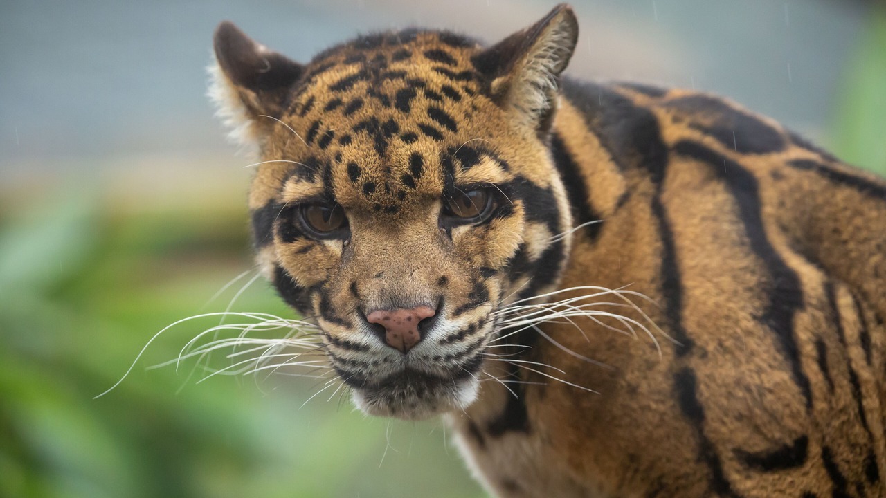 Photo of Others in Barnstaple