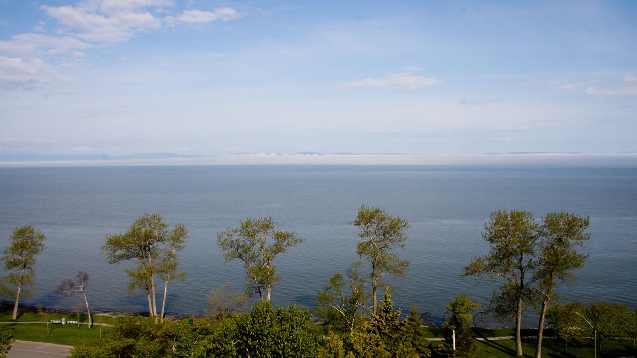 Photo of Others in Riviere Du Loup