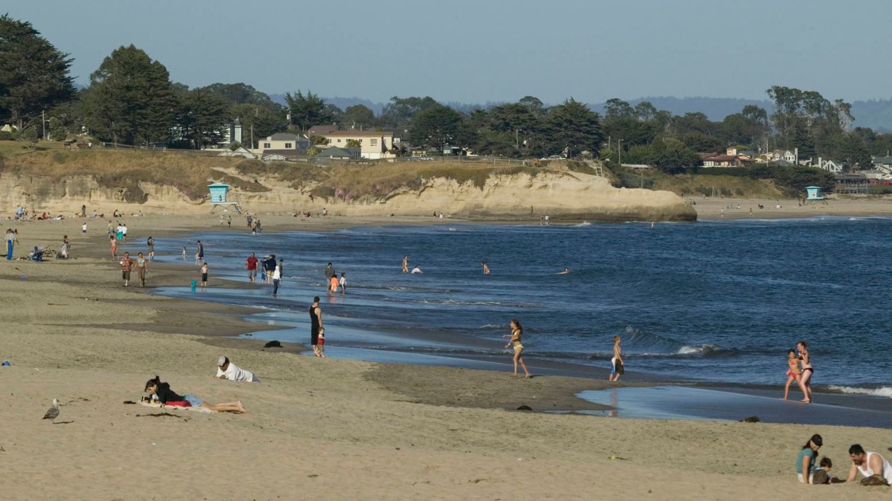 Photo of Others in Westside Santa Cruz
