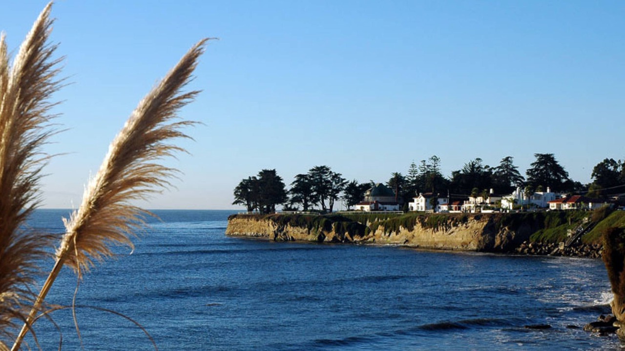 Photo of Others in Westside Santa Cruz