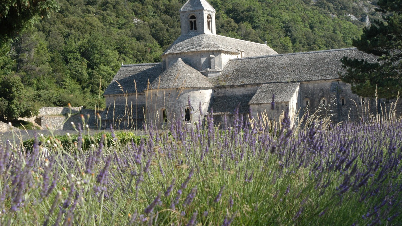 Photo of Others in Menerbes