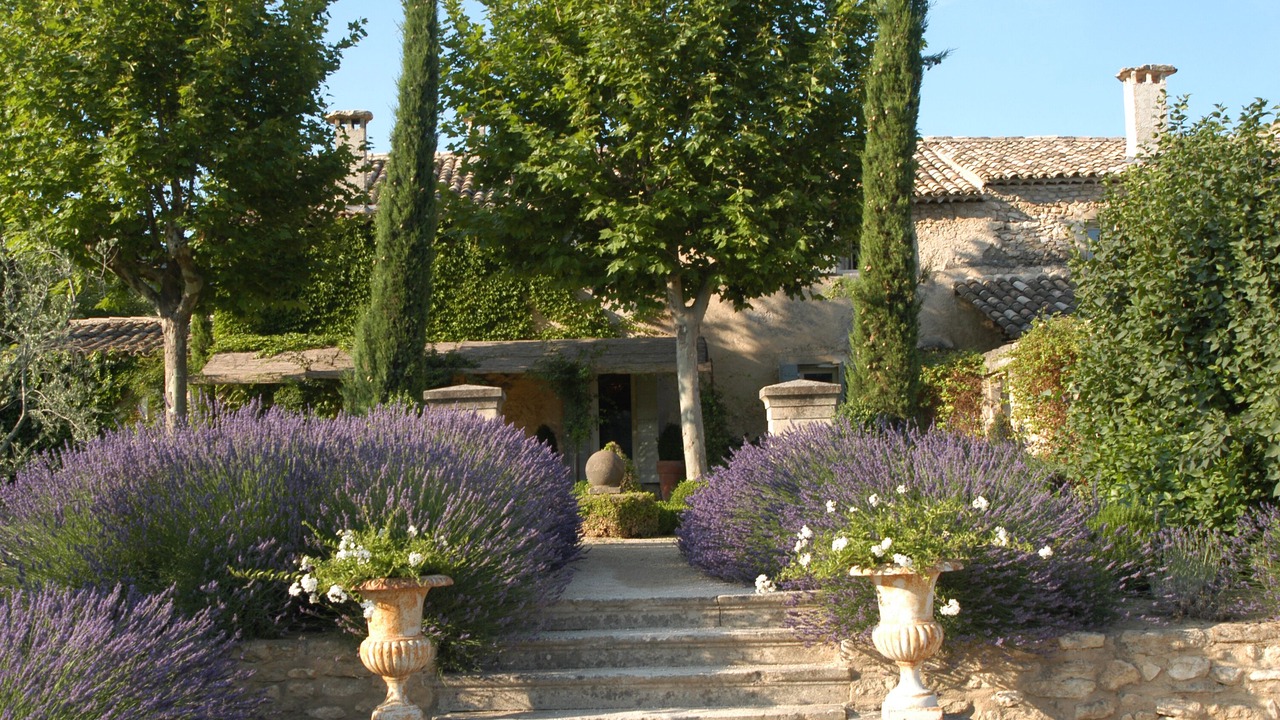 Photo of Bedroom in Menerbes