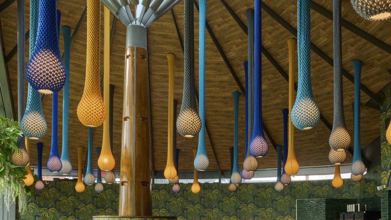 Photo of Others in Exeter