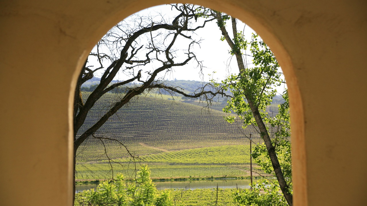 Photo of Outdoor in Kenwood