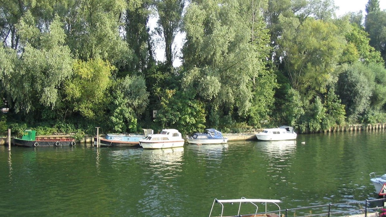 Photo of Others in Bray on Thames