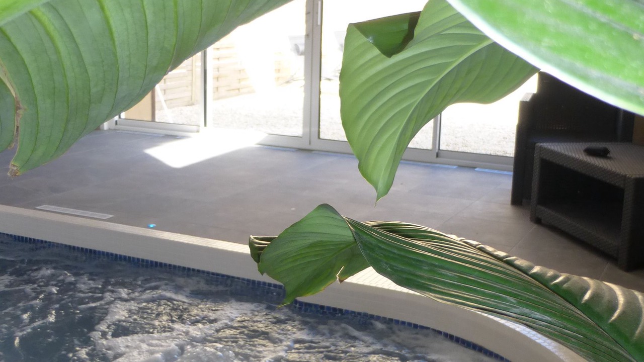 Photo of Others in Pontorson