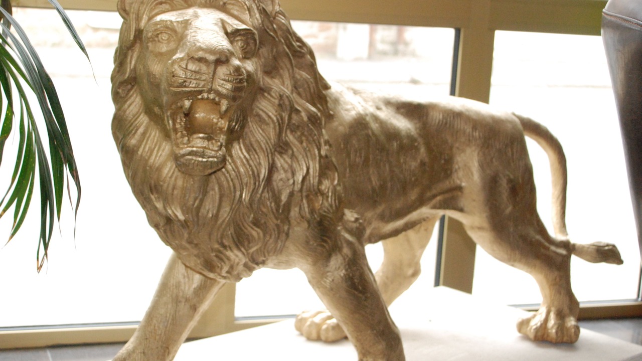 Photo of Others in Pontorson