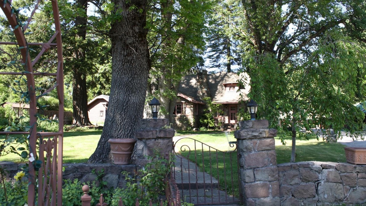 Photo of Outdoor in Mount Shasta