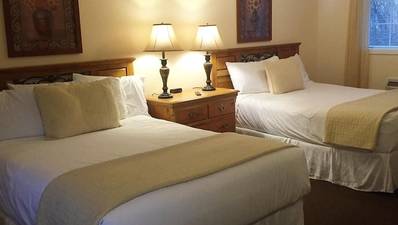 Photo of Others in Mount Shasta