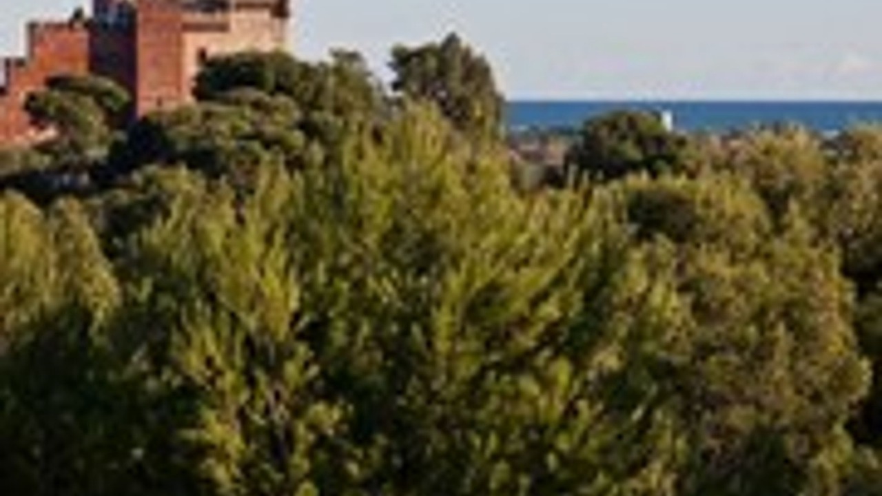 Photo of Outdoor in Castelldefels