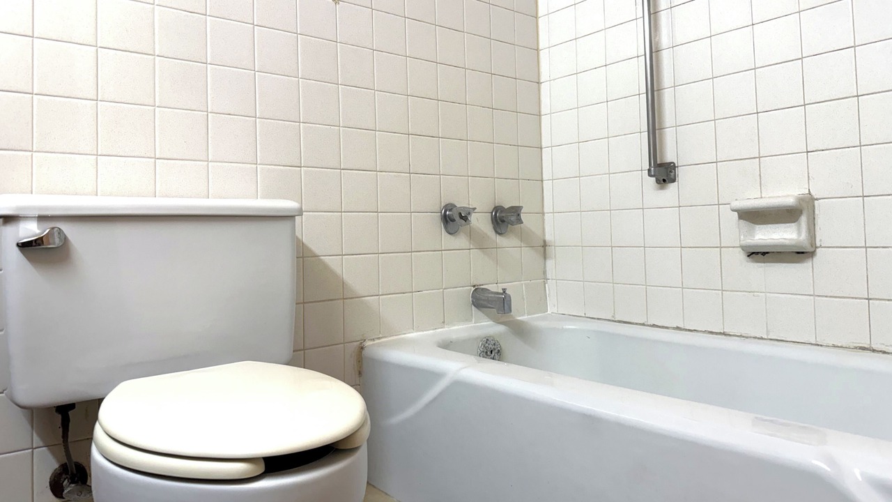 Photo of Others in Lima