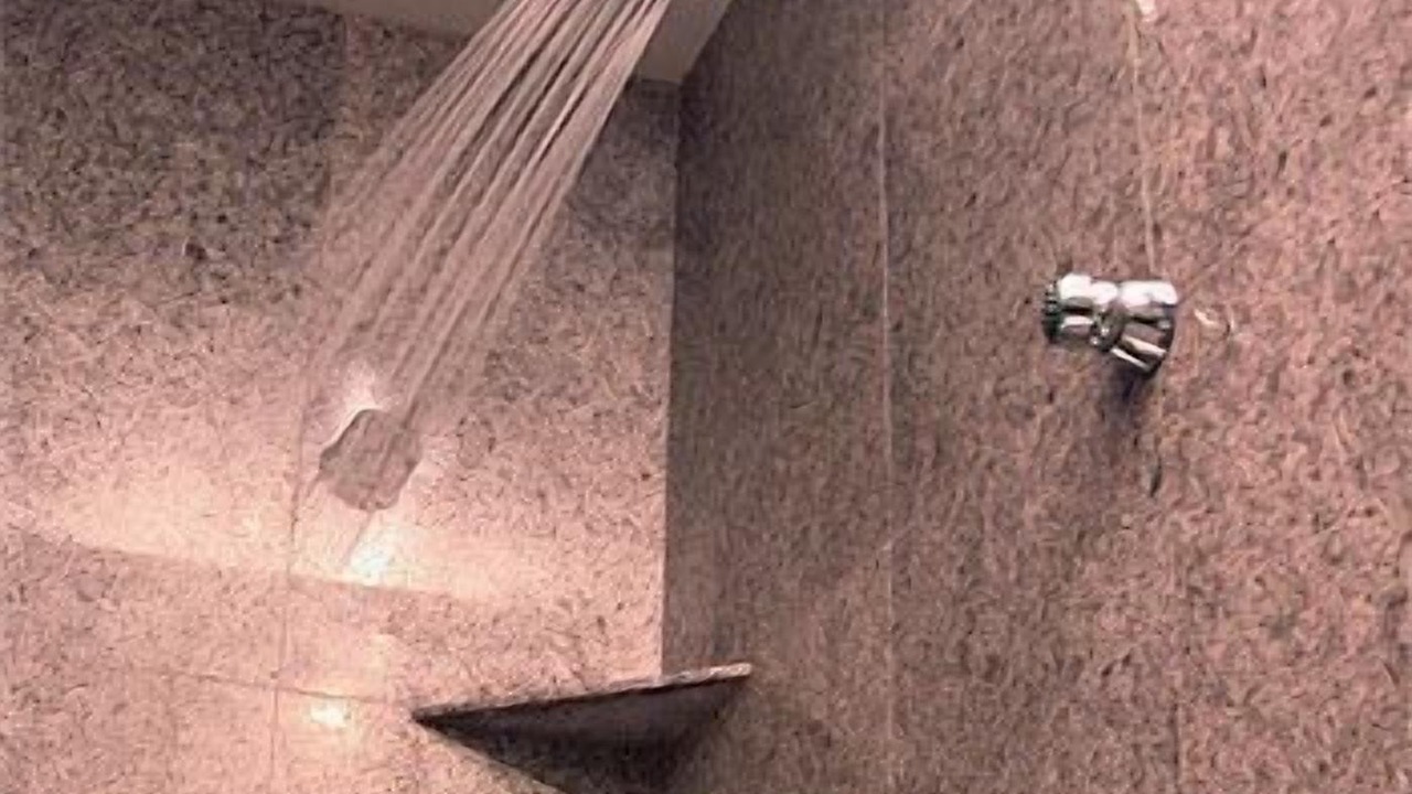 Photo of Bathroom in Southfield