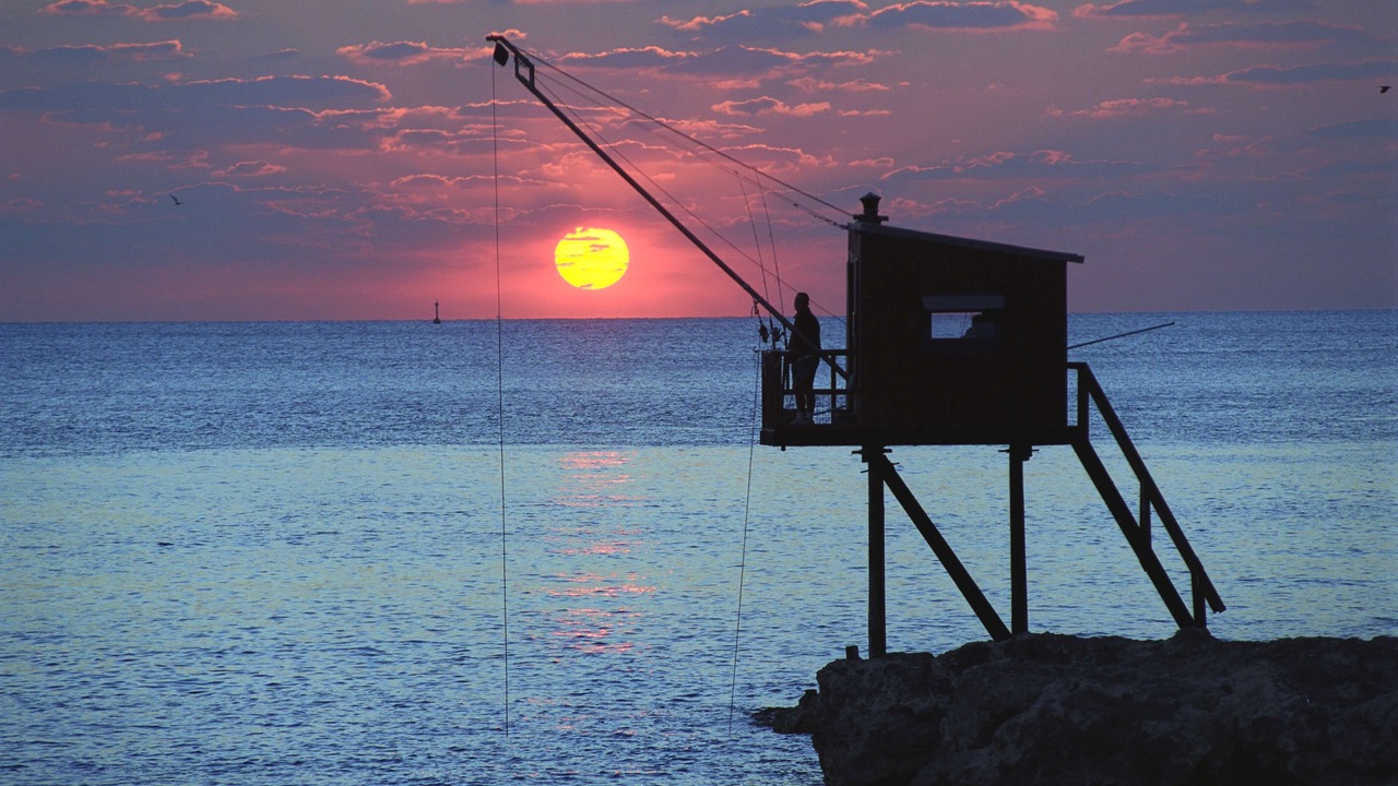 Photo of Others in Saintes