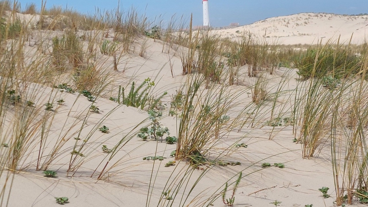 Photo of Others in Saintes