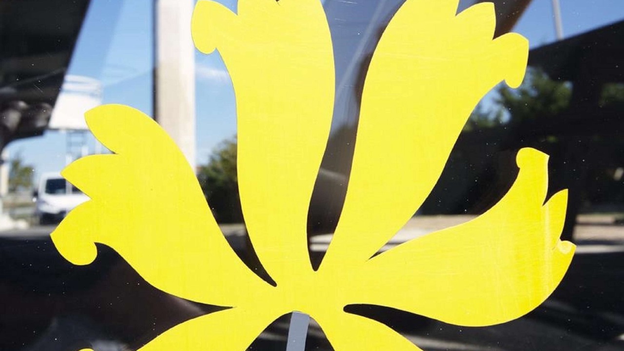 Photo of Others in Tarbes