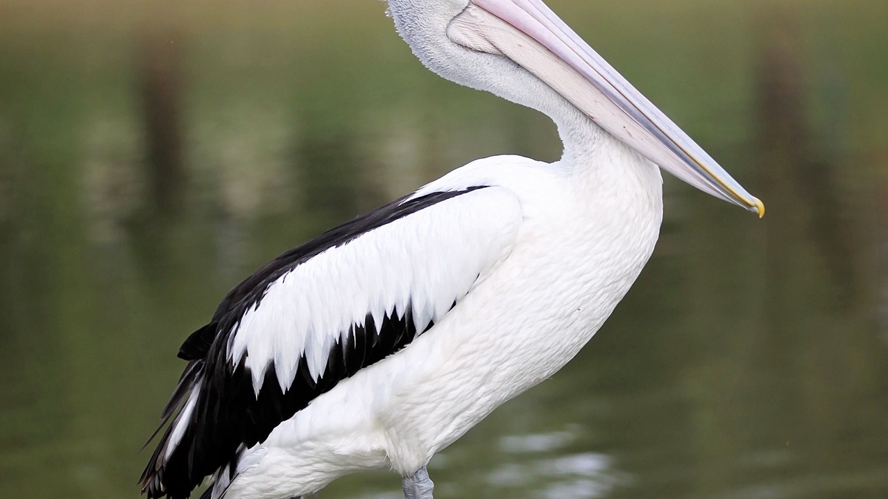 Photo of Outdoor in Forbes