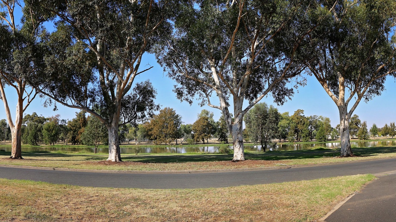 Photo of Others in Forbes