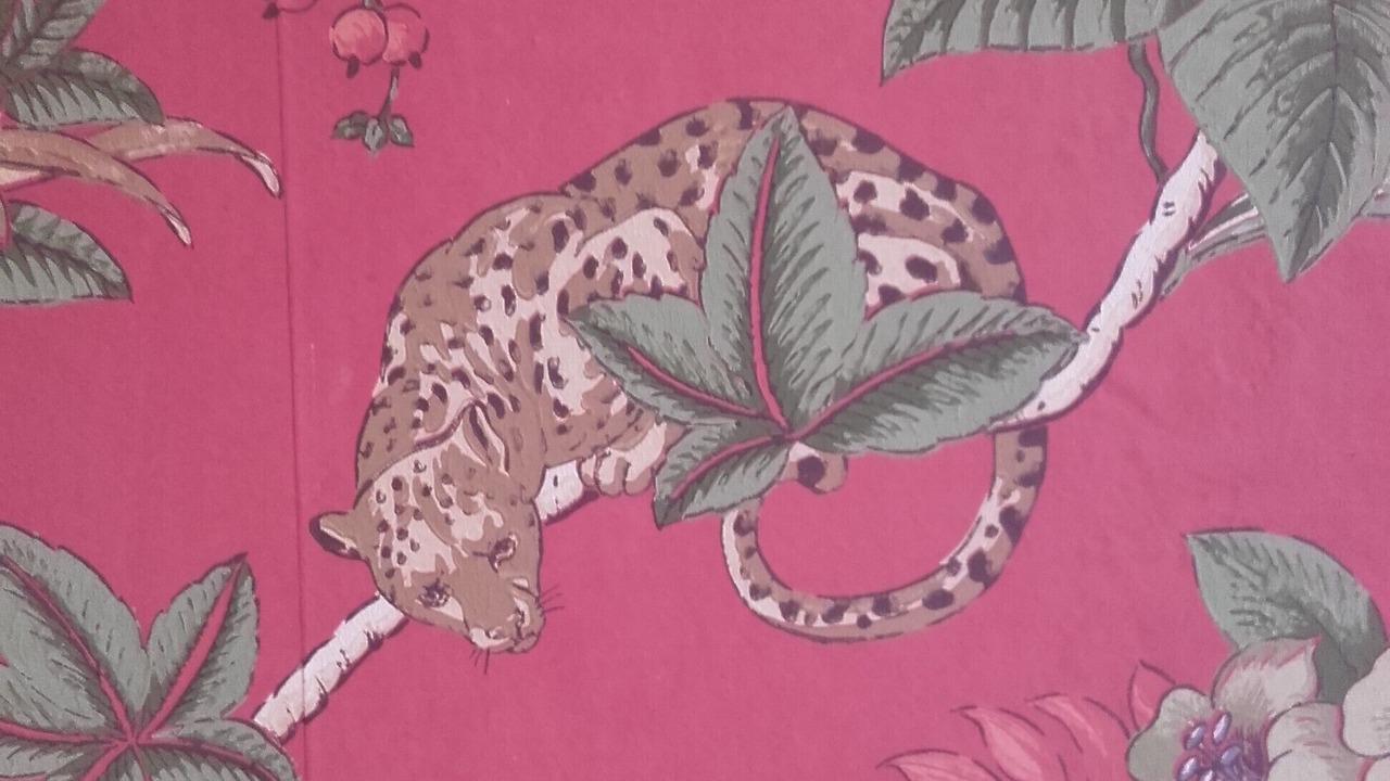 Photo of Others in Calais City Center