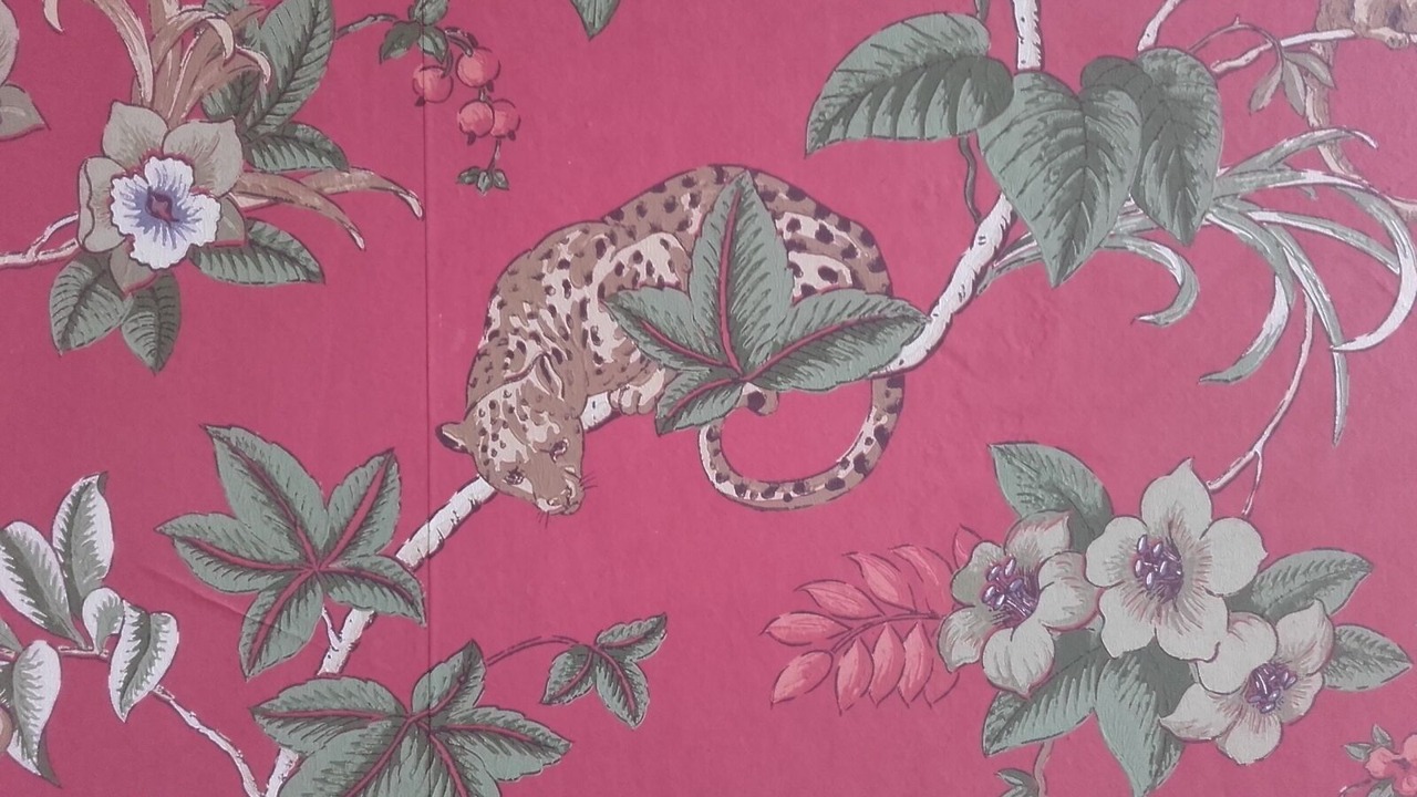 Photo of Bedroom in Calais City Center