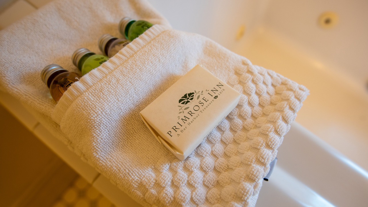 Photo of Others in Bar Harbor