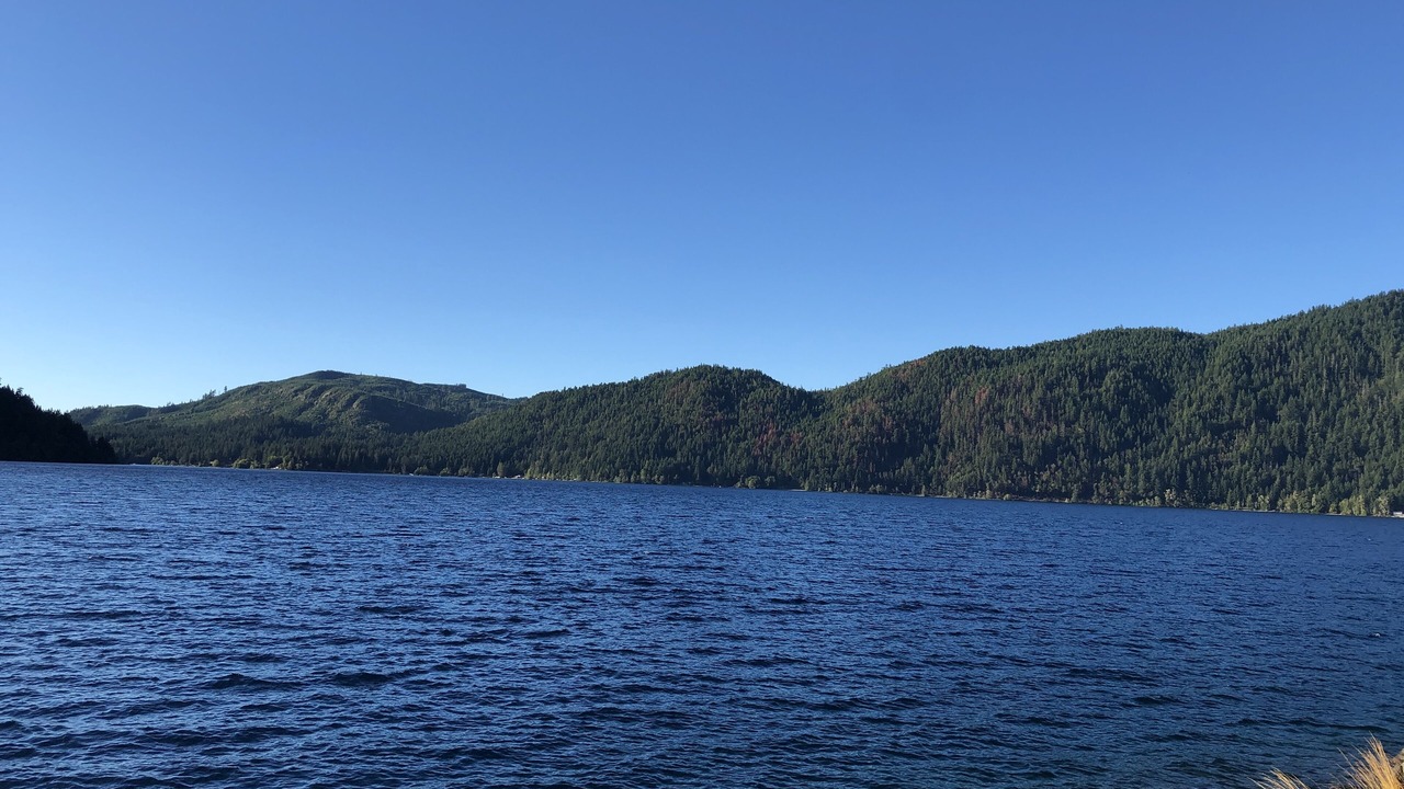 Photo of Others in Port Angeles