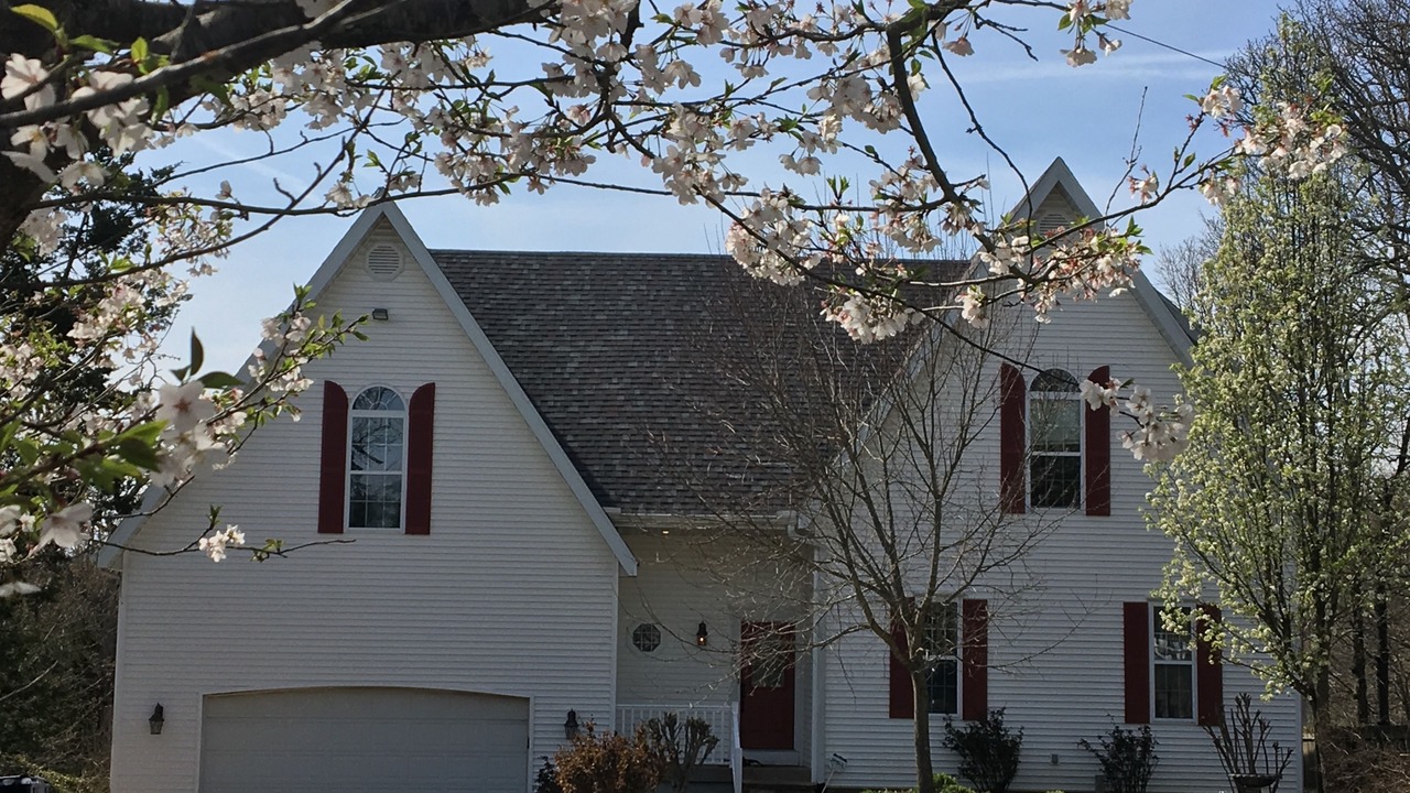 Photo of Others in Branson