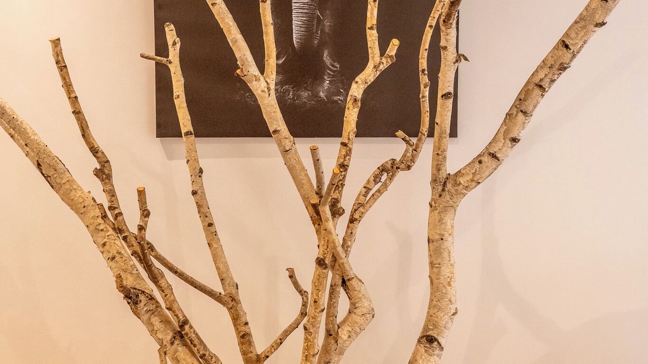 Photo of Others in Digne-les-Bains