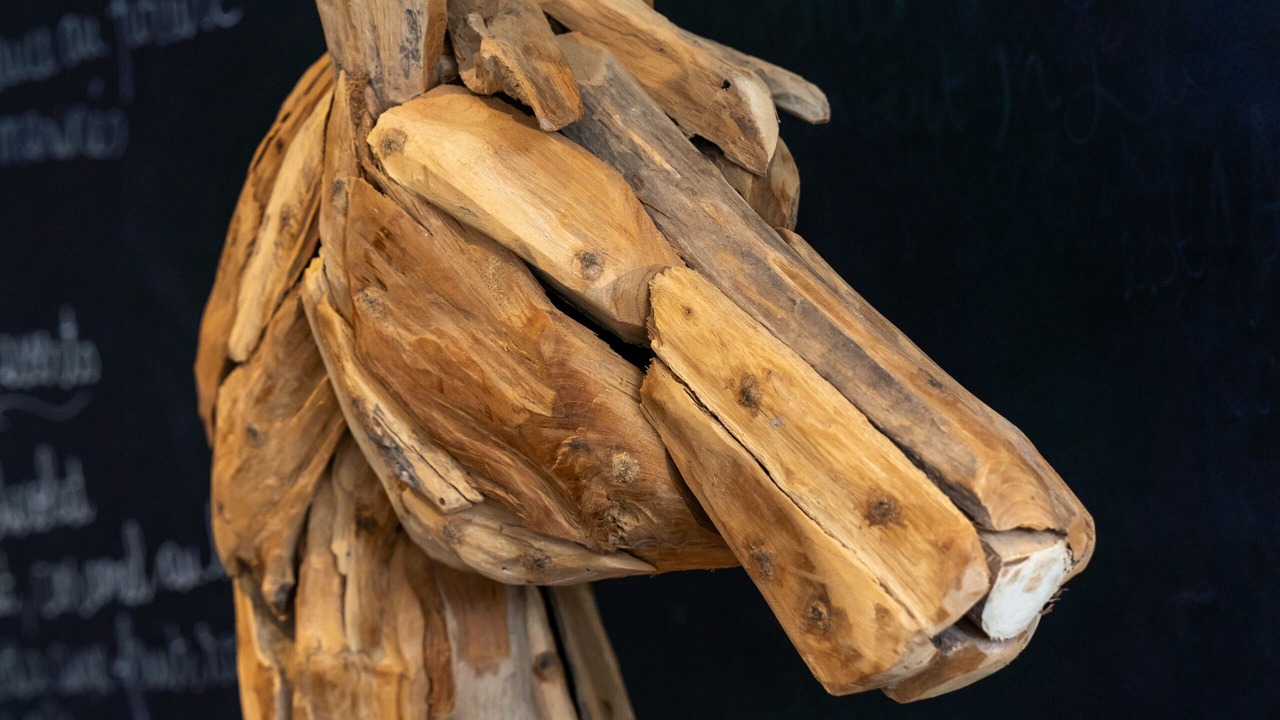 Photo of Others in Sainte-Mere-Eglise