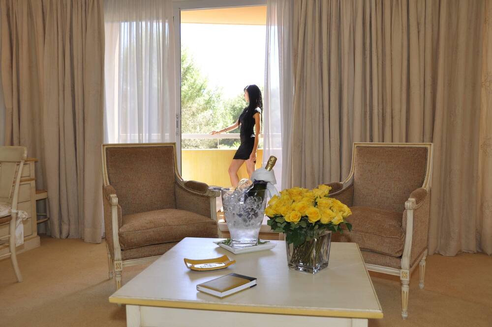 Photo of Livingroom in Valbonne