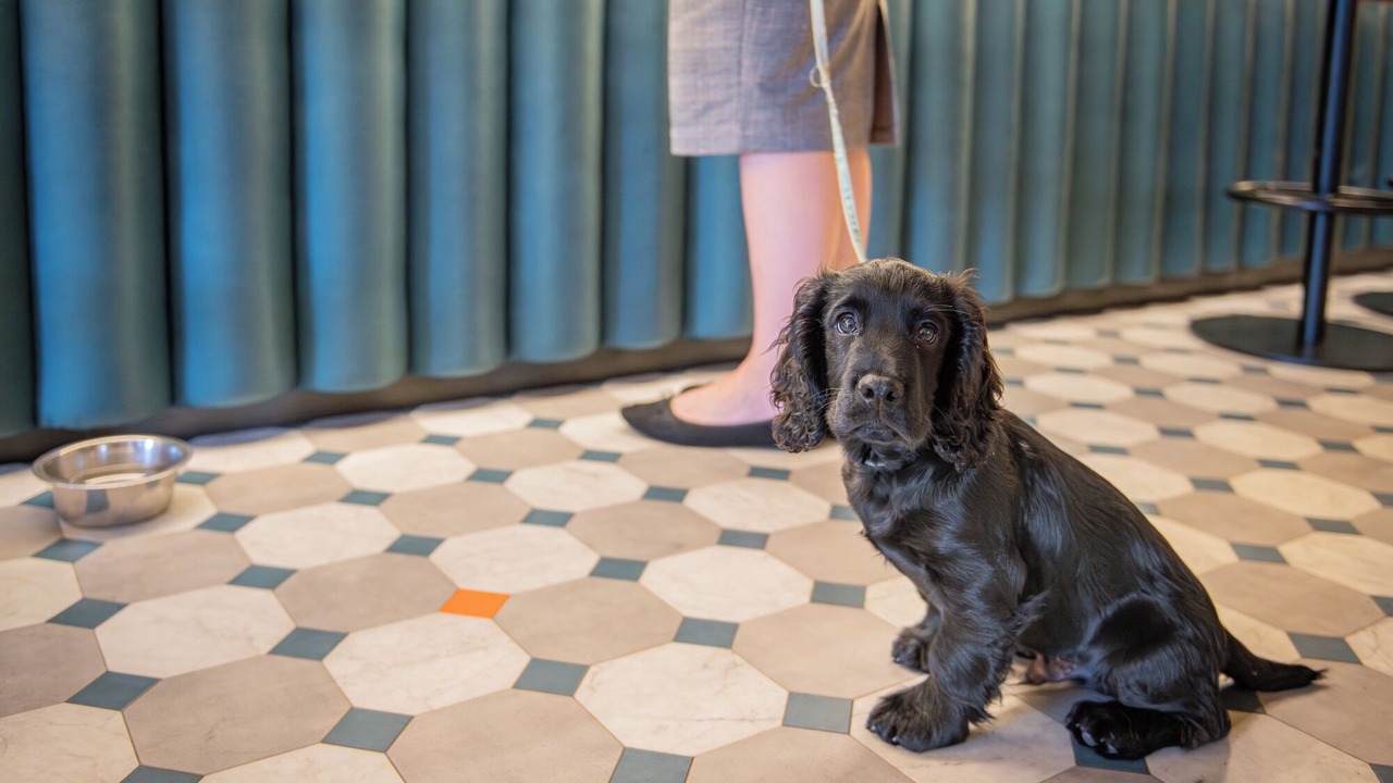 Photo of Others in Kendal