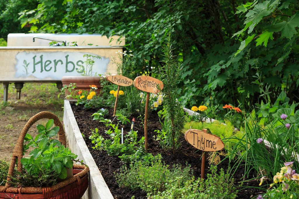 Photo of Outdoor in Holderness