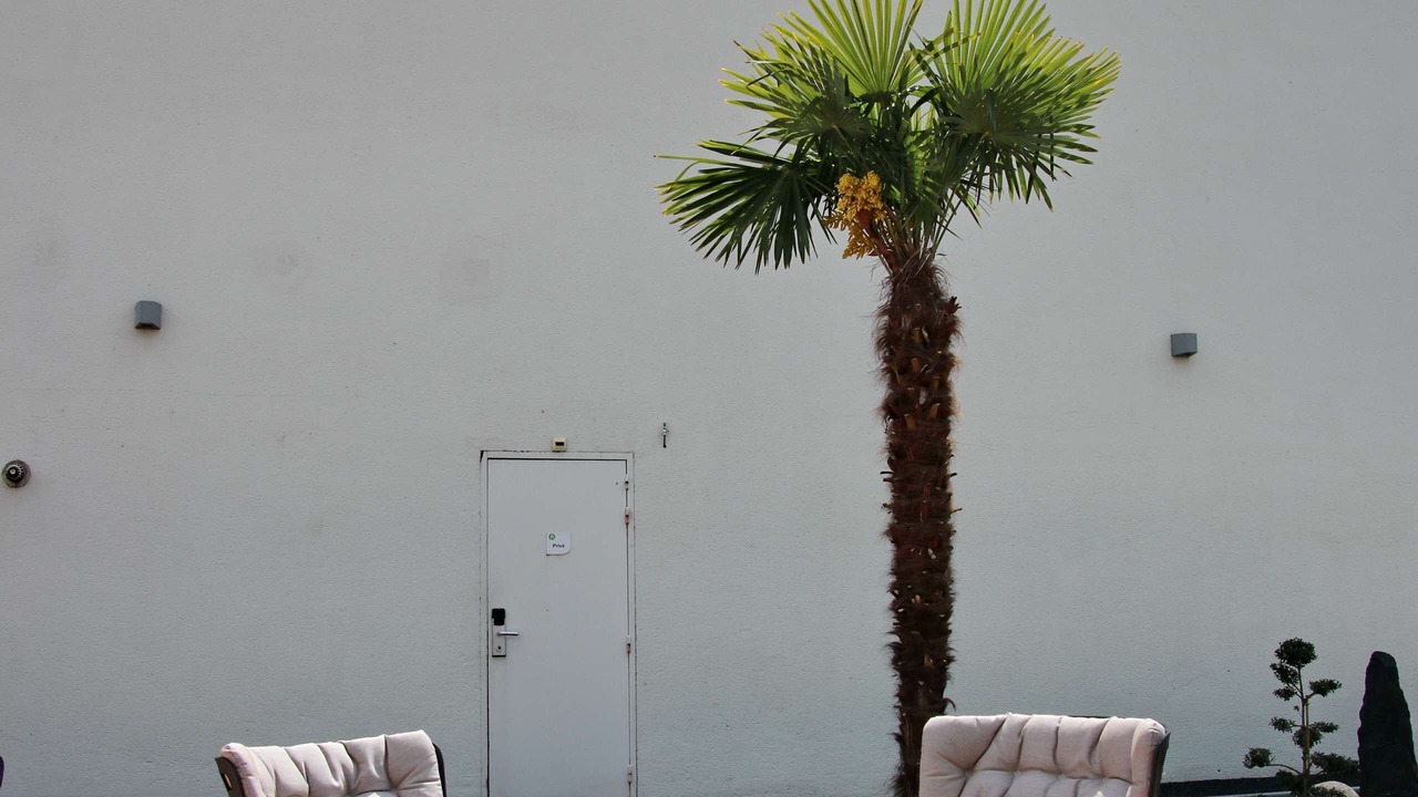 Photo of Outdoor in Albi